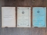 TINERIMEA ROMANA DE AMBE SEXE ELABORATA DE I.M. RIURENU, 3 CARTI* 1890-1891