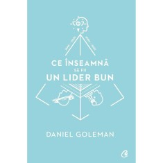Ce inseamna sa fii un lider bun. De ce este importanta inteligenta emotionala - Daniel Goleman