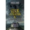 Sasok a viharban II. - Sűrűs&ouml;dnek a fellegek - Viola Judit