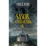 Sasok a viharban II. - Sűrűs&ouml;dnek a fellegek - Viola Judit