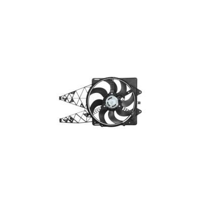 Ventilator radiator FIAT PUNTO EVO 199 TYC 809-1004 foto