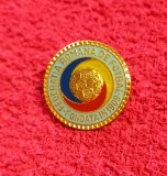 Insigna fotbal - Federatia de Fotbal din ROMANIA (FRF)