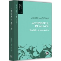 Accidentul de munca. Realitati si perspective, Cristina Casian