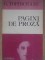 Foto  - 1