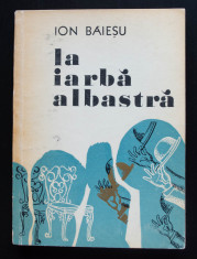 Ion Baie?u - La iarba albastra (cu ilustra?ii de Florin Puca) foto