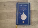Micul print de Antoine de Saint-Exupery