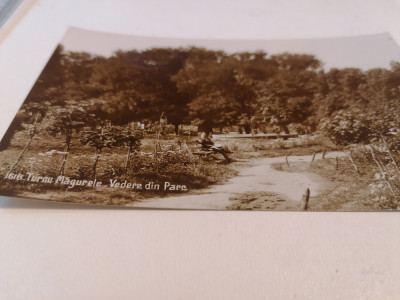 CARTE POSTALA VECHE NECIRCULATA - TURNU MAGURELE -VEDERE DIN PARC , ANII 30 foto