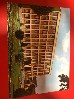 Sannicolau Mare foto