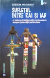 Sufletul &Icirc;ntre Rai și Iad - Costion Nicolescu, Ed. Vremea, Carte Creștinism Despre Moarte