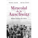Miracolul de la Auschwitz. Baietii evadati din infern - Michael Calvin, Naftali Schiff