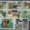 Bhutan 1973 fauna caini MI 536-543 MNH