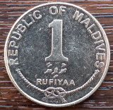 (M1951) MONEDA MALDIVES - 1 RUFIYAA 2012, EXOTICA, Asia