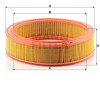 Filtru Aer 14036 C3078