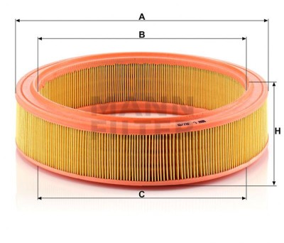 Filtru Aer 14036 C3078 foto