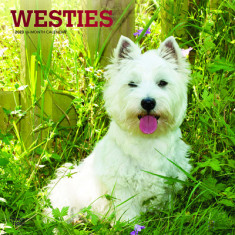 West Highland White Terriers 2023 Square Foil
