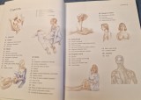 Masajul ghid practic de tehnici orientale si accidentale Lucy Lidell