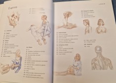 Masajul ghid practic de tehnici orientale si accidentale Lucy Lidell