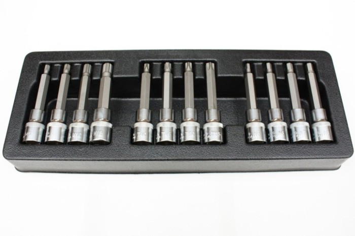 Bit Set, Stecknuss Set, 12-teilig, H5-H8, T40-T55, M6-M12, S2 Stahl, Industriequalit&auml;t