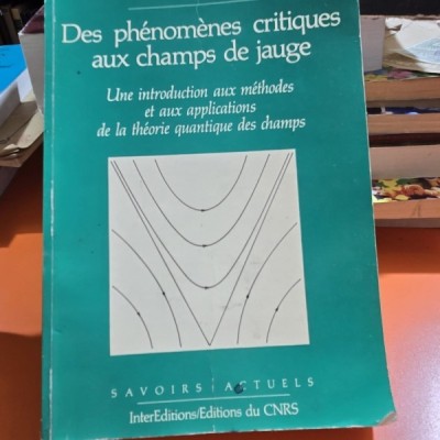 Des phenomenes critiques aux champs de jauge, Une introductiom aux methodes Eet aux applications de la theorie quantique des champs foto