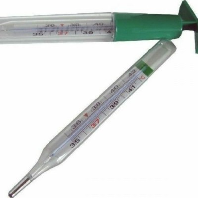 Termometru Clasic foto