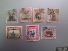 NORTH BORNEO SERIE STAMPILAT/NESTAMPILAT=260