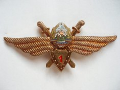 ROMANIA - INSIGNA MILITARA AVIATIE - PILOT CL. 1, MODEL 1968, RSR, RARA, IM1.129