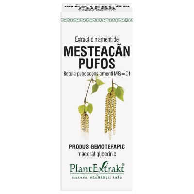 Extract Amenti Mesteacan Pufos 50ml PlantExtrakt foto