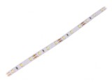 Bandă LED alb rece 12V 12W/m IP20