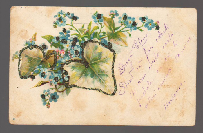 CPIB 20833 FELICITARE - FLORI ALBASTRE
