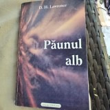 Paunul Alb - D. H. Lawrence