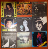 Vand viniluri cu muzica internationala