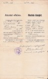 A3340N Atestat oficios aplicare ca preot greco-catolic Romulus Mioc, primar Petroșani, prefect județ Hunedoara, 1916, semnat olograf Corneliu Bulcu