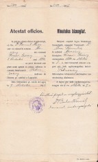 A3340N Atestat oficios aplicare ca preot greco-catolic Romulus Mioc, primar Petroșani, prefect județ Hunedoara, 1916, semnat olograf Corneliu Bulcu