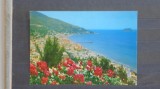 ITALIA - ALASSIO - RIVIERA DEI FIORI - PANORAMA SI INSULA GALLINARA - CIRCULATA, Fotografie