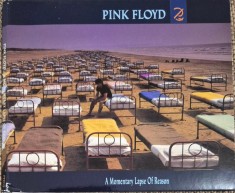 cd pink floyd a momenatry lapse of reason digipack
