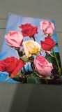 Cumpara ieftin CARTE POSTALA FELICITARE NECIRCULATA