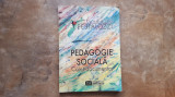 Pedagogie Sociala - caiet documentar, 2000