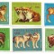Romania (454) - Pui de animale salbatice, 1972, serie neobliterata