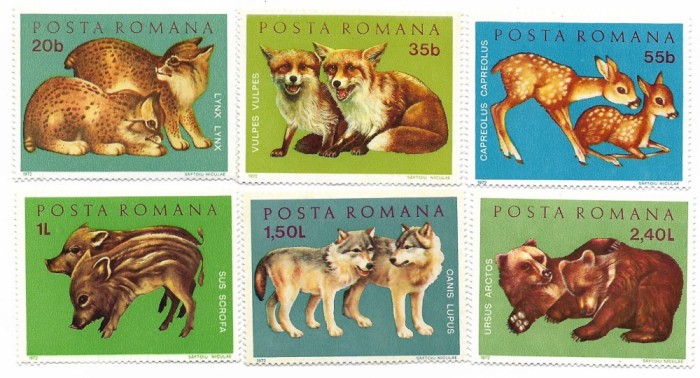 Romania (454) - Pui de animale salbatice, 1972, serie neobliterata