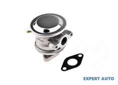 Supapa pompa sistem aer secundar Volkswagen Passat B5(1996-2005) #1