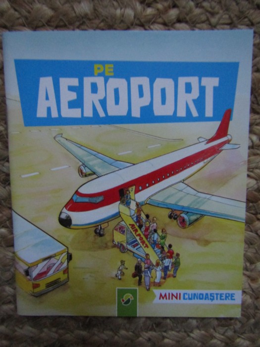PE AEROPORT MINI CUNOASTERE
