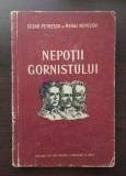 Cezar Petrescu; Mihai Novicov - Nepoții gornistului