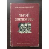 Cezar Petrescu; Mihai Novicov - Nepoții gornistului