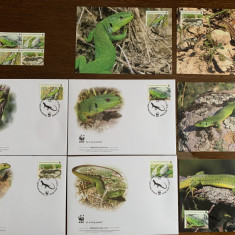 bosnia - reptile - soparla - serie 4 timbre MNH, 4 FDC, 4 maxime, fauna wwf