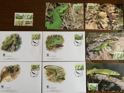 bosnia - reptile - soparla - serie 4 timbre MNH, 4 FDC, 4 maxime, fauna wwf foto