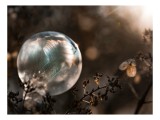 Tablou Canvas, "Sfera magică &icirc;n natură misterioasă", Creație, Fragilitate, Natură, Lumină, Reflecție, Delicatețe, &Icirc;ngheț, Frumusețe, Efemeritate, Stră