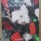 Luiza Barcan - Constantin Calafateanu