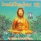 2 CD Ravin &amp; David Visan &lrm;&ndash; Buddha-Bar VII, originale