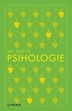 Mic ghid de psihologie - Paperback brosat - *** - Litera