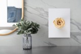 Tablou Canvas, "Trandafirul singuratic pe fundal alb", Floare, Trandafir, Crem, Elegant, Simplu, Minimalist, Perfect, Frumusețe, Natural, Delicat, 26